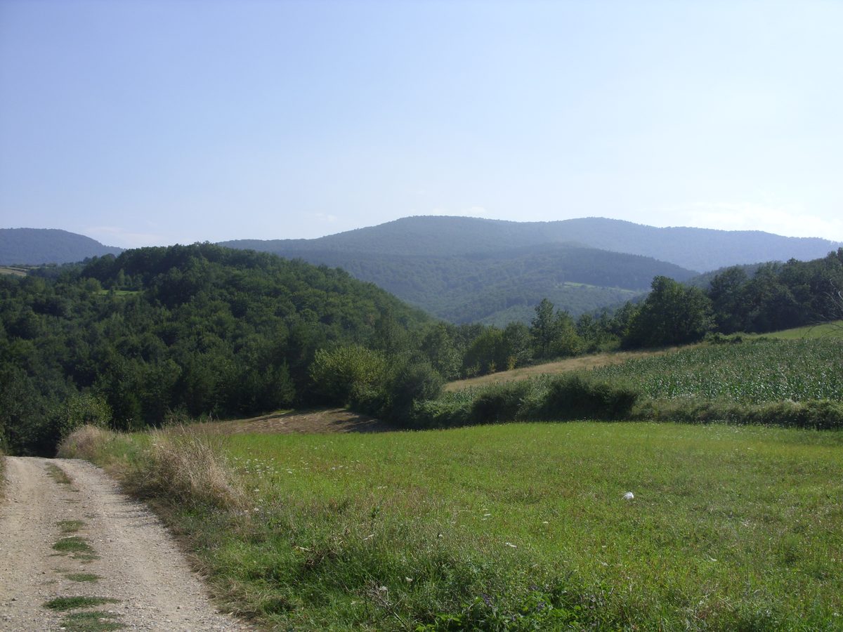 Šumovite padine Velikog Jastrepca u centralnoj Srbiji
